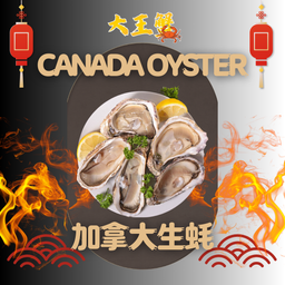 OYSTER 生蚝 3pcs 