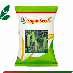 Sagar Shruti F1 Cucumber (25g)