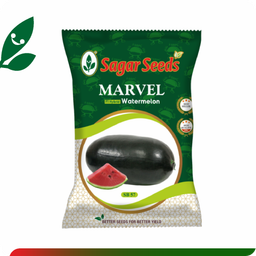 Sagar Marvel F1 Watermelon(25g)