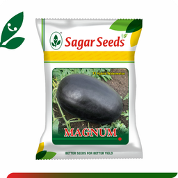Sagar Magnum F1 Watermelon(50g)