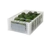 Palta Hass Peru Mayorista (Desde 10 kilos)