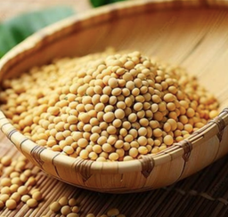 우리농산 산마루 백태 Soybeans 500g