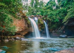 From Bangkok: Khao Yai National Park Small-Group Day Trip