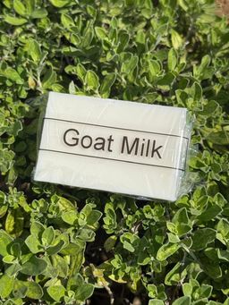 Goat Milk