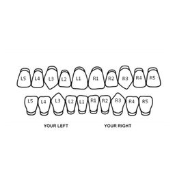 SOLID GOLD DOUBLE CAP TOOTH GRILLZ