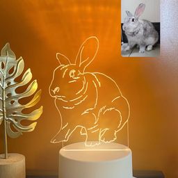 Customized LED Memento Lamp