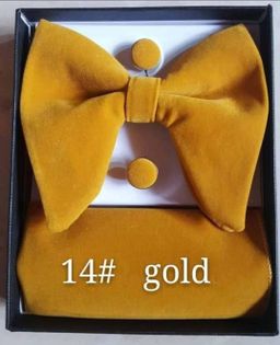 Butterfly  Bow ties