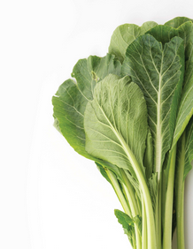 Mustard Greens Superfood 1.5 lb / Mostaza Verde Superalimento 1.5 lb