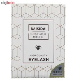 BAISIDAI LASH BOX