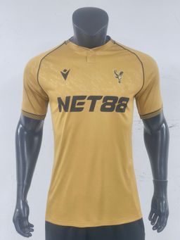 Player version