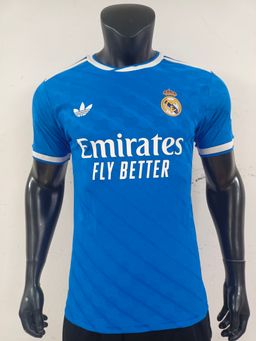 Player version