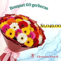BOUQUETE 60 GERBERAS 