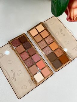 Mini palette nude ushas 