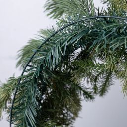 24" Belgium Pine Wreath: Evergreen (54 tips)