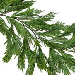 6' Norfolk Island Pine Hanging Garland
