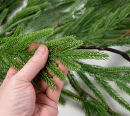 6' Norfolk Island Pine Hanging Garland