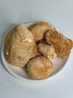 Lion’s Mane Mushroom (Large) 猴头菇(大) 80g