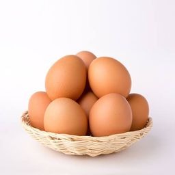 Broiler Eggs