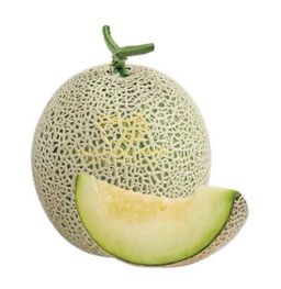 China Snow Premium Musk Melon