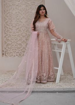 Color Type: Peach Orange