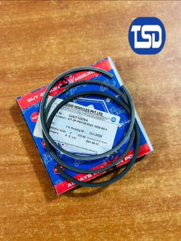 Kit of Piston Ring Mod Bs2 E40011420PA