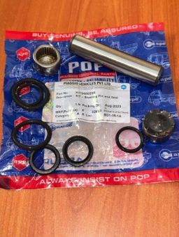 Kit Steering Pin and Seal Kit930003R