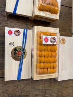 (CLEARANCE) (浜中養殖, Farmed) 100g 'Kimura 木村' Bafun Uni 