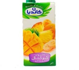 Boisson au jus de cocktail de fruits Candia -paqu. 1L