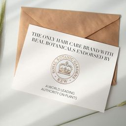 Herbal Essences Bio:Renew Natural Conditioner with Golden Moringa Oil for Hair Smoothness, 400 ml