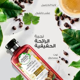 Herbal Essences Bio:Renew Volume Arabica Coffee Fruit Shampoo, 400 ml
