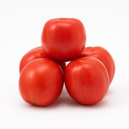 Tomate fruit