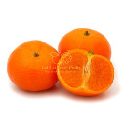 Israel Orri Mini Mandarin