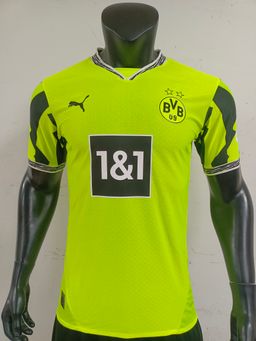 Player version