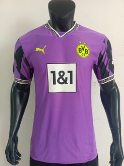 Player version