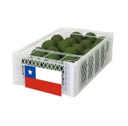 Palta Hass 1ra Chile Mayorista (Desde 10 kilos)