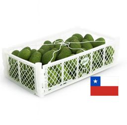 Palta Hass 2da Chile Mayorista (Desde 10 kilos)