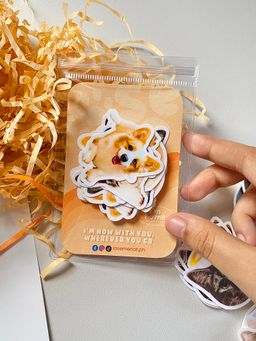 Customized Sticker Pack 20s