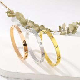  Stainless Steel 18k Hinged