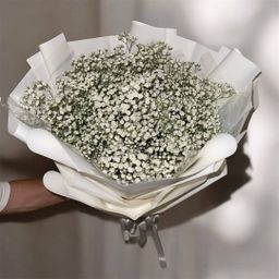 Fresh Flower Baby Breath Bouquet 