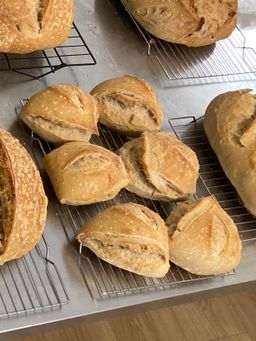 Sourdough Rustic Rolls לחמניות מחמצת כפריות