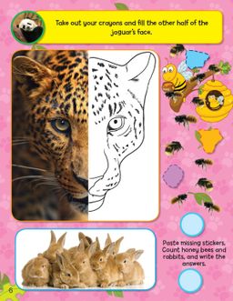 Sticker Activity Book - Jungle