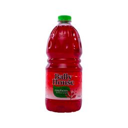 BALLY HOUSE RASPBERRY SYRUP 6X2LT