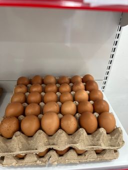 MPS67- œuf x30 eggs 🥚 بيض 