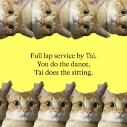 Living' Garfield Dream