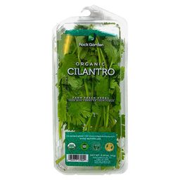Cilantro 