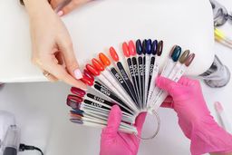 Colors Palette Sampler Palette 