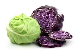ស្ពៃក្តោប cabbage
