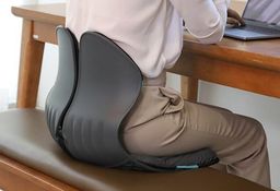 BALANCE ON Honeycomb Gel Cushion Lumbar Support Chair