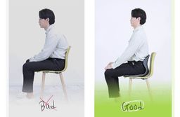 BALANCE ON Honeycomb Gel Cushion Lumbar Support Chair