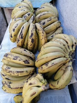 Bananas/Kg 